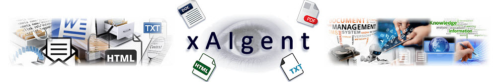 xAIgent - t he Power Behind Doc-Tags -  Automatic AI Text Analytic Web Service